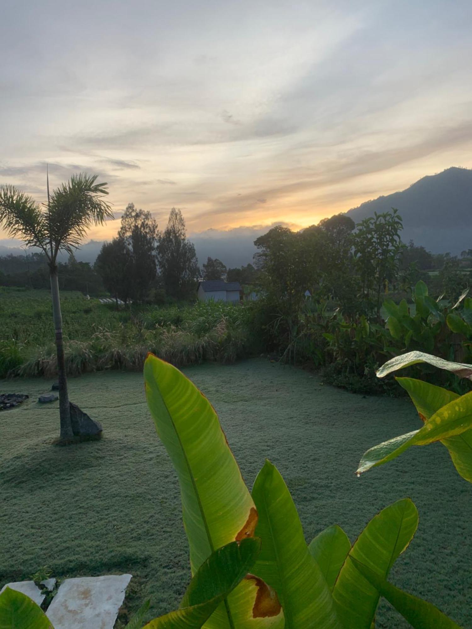 Готель Bali Lesung Kintamani  Екстер'єр фото